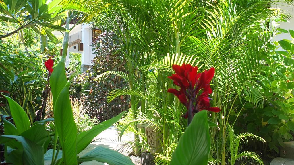 Ricel Homestay Гили Траванган Экстерьер фото